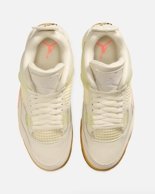 Air Jordan 4 'Birds of Paradise' (Women's)